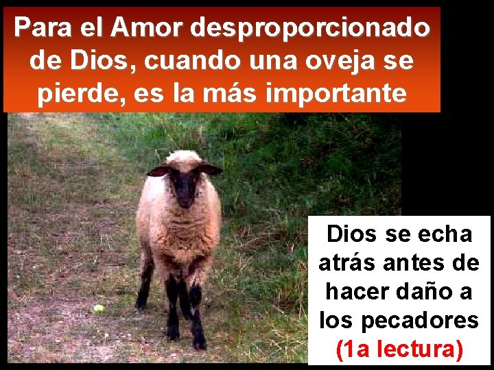 Para el Amor desproporcionado de Dios, cuando una oveja se pierde, es la más