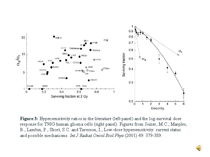 Figure 3: Hypersensitivity ratios in the literature (left panel) and the log-survival dose response