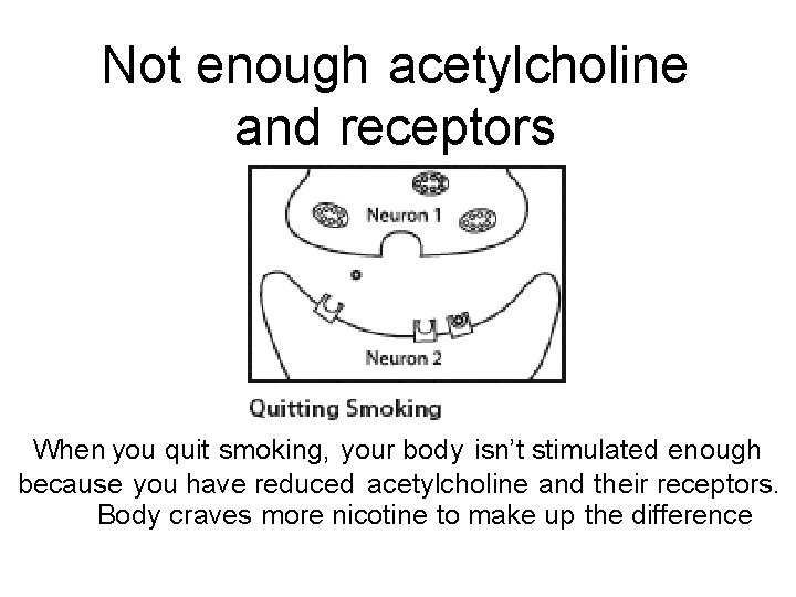 Not enough acetylcholine and receptors When you quit smoking, your body isn’t stimulated enough
