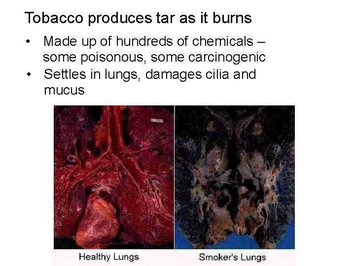 Tobacco produces tar as it burns • Made up of hundreds of chemicals –