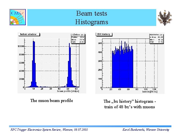 Beam tests Histograms The muon beam profile RPC Trigger Electronics System Review, Warsaw, 08.