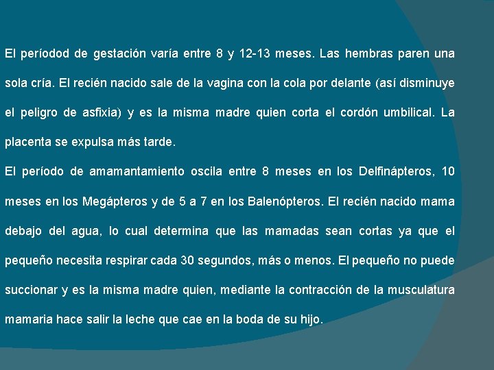 El períodod de gestación varía entre 8 y 12 -13 meses. Las hembras paren