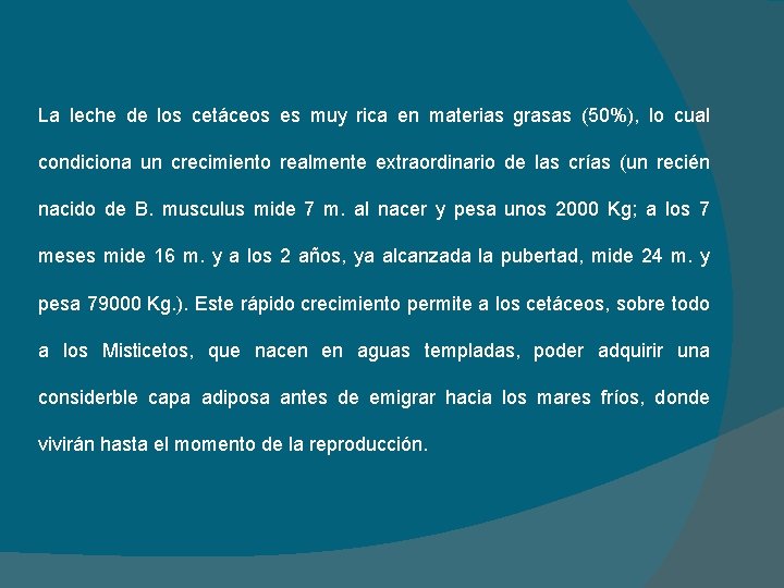 La leche de los cetáceos es muy rica en materias grasas (50%), lo cual