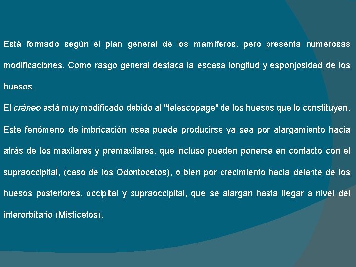 Está formado según el plan general de los mamíferos, pero presenta numerosas modificaciones. Como