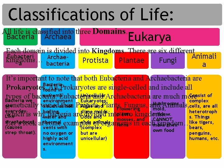 Classifications of Life: All life is classified into three Domains… Bacteria Archaea Eukarya Each