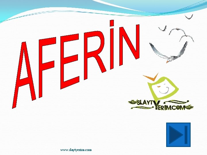 www. slaytyerim. com 