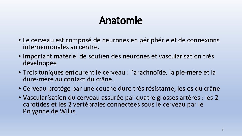 Anatomie • Le cerveau est composé de neurones en périphérie et de connexions interneuronales