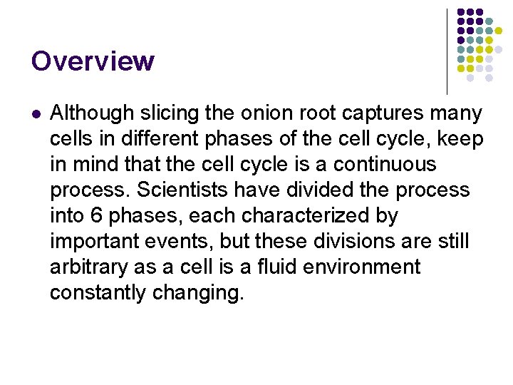 Overview l Although slicing the onion root captures many cells in different phases of