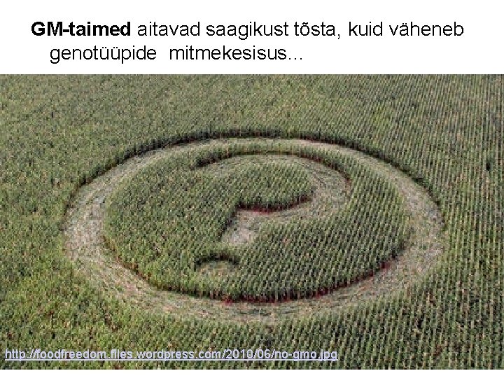 GM-taimed aitavad saagikust tõsta, kuid väheneb genotüüpide mitmekesisus… http: //foodfreedom. files. wordpress. com/2010/06/no-gmo. jpg