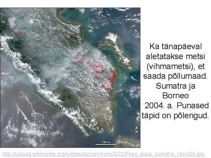 Ka tänapäeval aletatakse metsi (vihmametsi), et saada põllumaad. Sumatra ja Borneo 2004. a. Punased