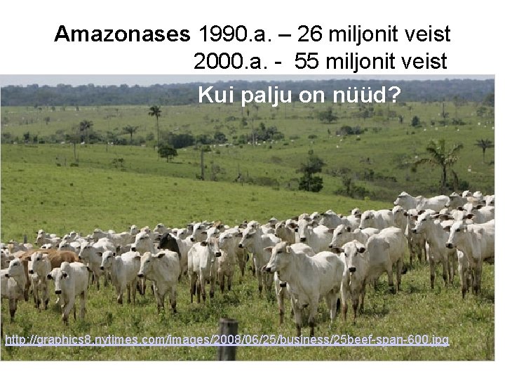 Amazonases 1990. a. – 26 miljonit veist 2000. a. - 55 miljonit veist Kui