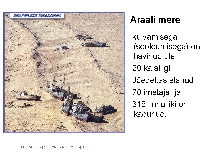 Araali mere kuivamisega (sooldumisega) on hävinud üle 20 kalaliigi. Jõedeltas elanud 70 imetaja- ja