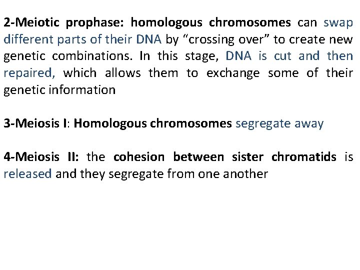 2 -Meiotic prophase: homologous chromosomes can swap different parts of their DNA by “crossing