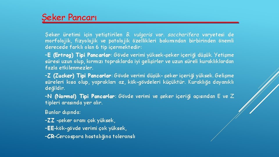 Şeker Pancarı Şeker üretimi için yetiştirilen B. vulgaris var. saccharifera varyetesi de morfolojik, fizyolojik