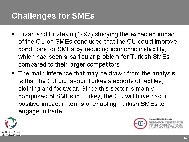 Challenges for SMEs Erzan and Filiztekin (1997) studying the expected impact of the CU