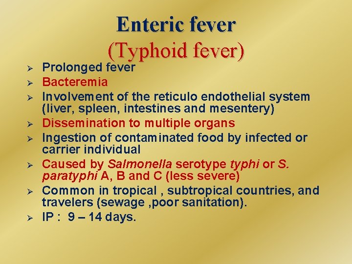 Enteric fever (Typhoid fever) Ø Ø Ø Ø Prolonged fever Bacteremia Involvement of the