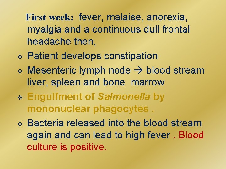 First week: fever, malaise, anorexia, myalgia and a continuous dull frontal headache then, v