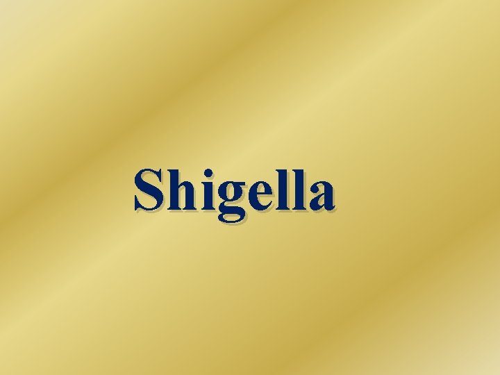 Shigella 