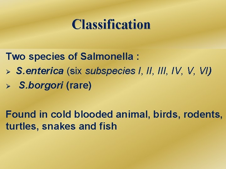 Classification Two species of Salmonella : -Has two(six species s. enterica Ø S. enterica