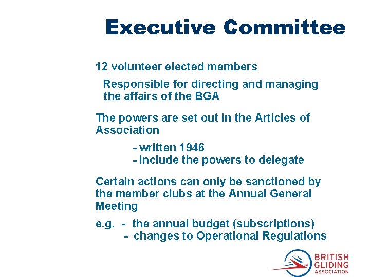 Executive Committee 12 volunteer elected members Responsible for directing and managing the affairs of