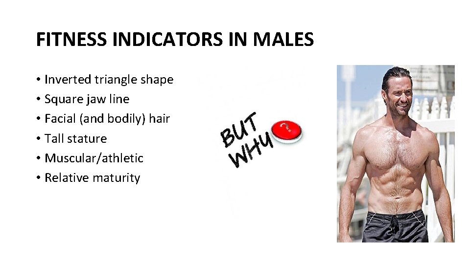 FITNESS INDICATORS IN MALES • Inverted triangle shape • Square jaw line • Facial