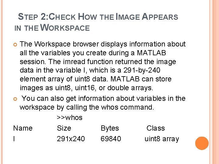 STEP 2: CHECK HOW THE IMAGE APPEARS IN THE WORKSPACE The Workspace browser displays