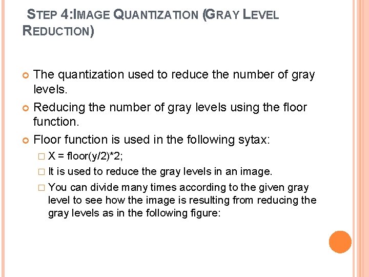 STEP 4: IMAGE QUANTIZATION (GRAY LEVEL REDUCTION) The quantization used to reduce the number