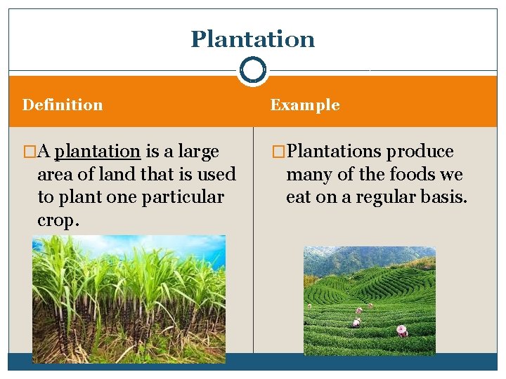 Plantation Definition Example �A plantation is a large �Plantations produce area of land that