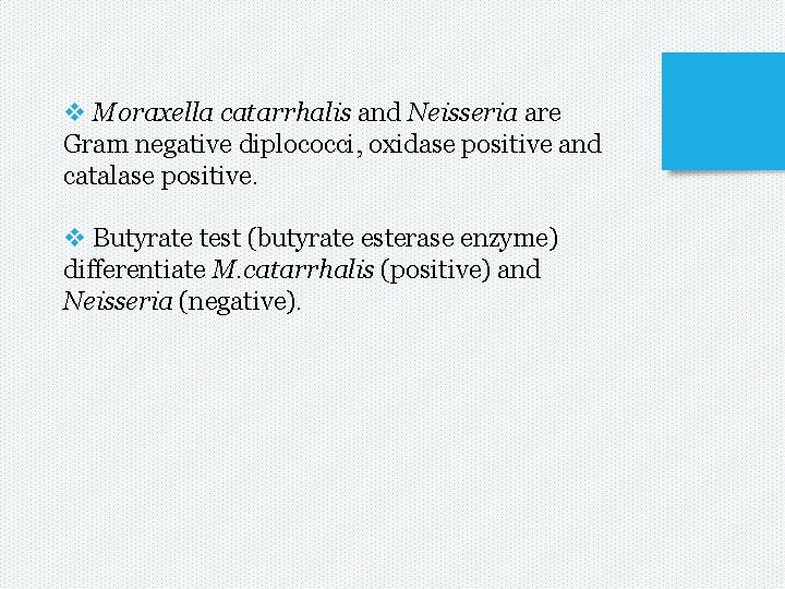 v Moraxella catarrhalis and Neisseria are Gram negative diplococci, oxidase positive and catalase positive.