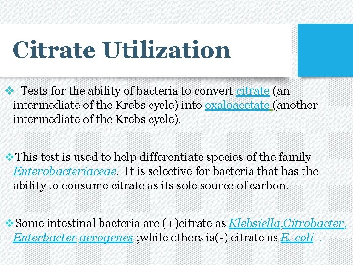 Citrate Utilization v Tests for the ability of bacteria to convert citrate (an intermediate