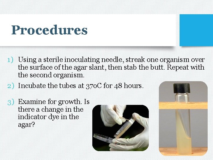 Procedures 1) Using a sterile inoculating needle, streak one organism over the surface of