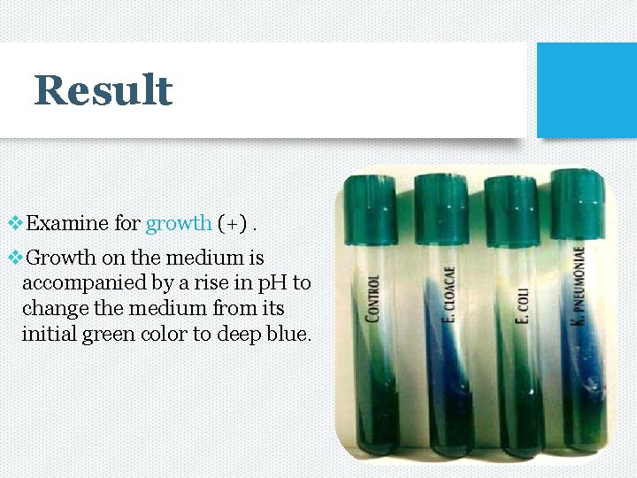 Result v. Examine for growth (+). v. Growth on the medium is accompanied by