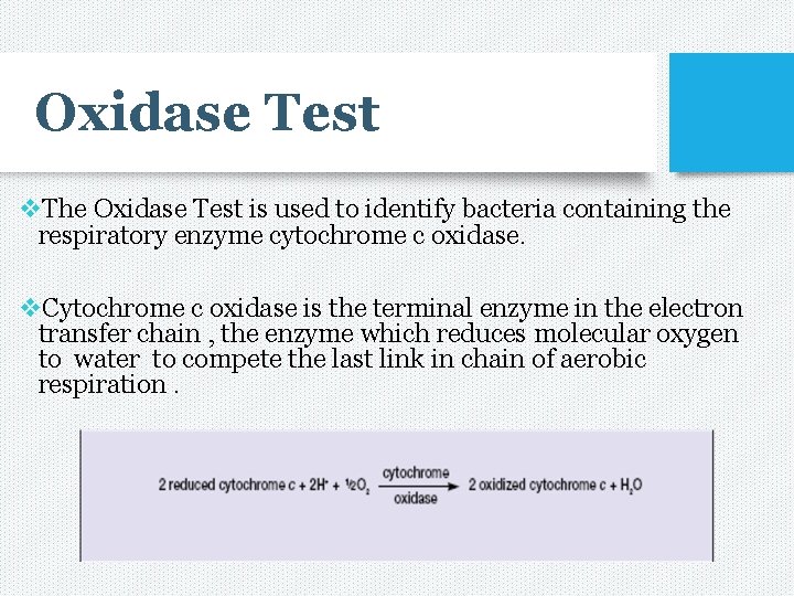 Oxidase Test v. The Oxidase Test is used to identify bacteria containing the respiratory