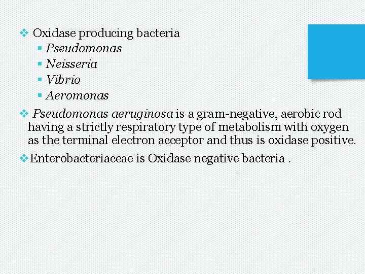 v Oxidase producing bacteria § Pseudomonas § Neisseria § Vibrio § Aeromonas v Pseudomonas