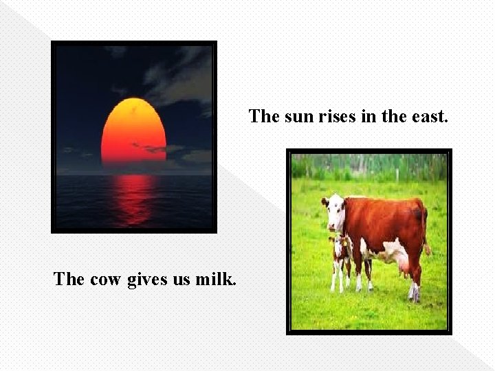 The sun rises in the east. The cow gives us milk. 