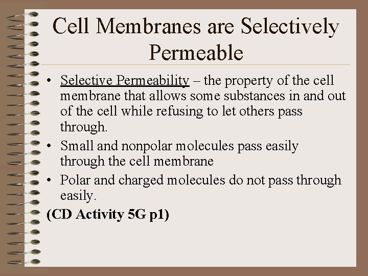 Cell Membranes are Selectively Permeable • Selective Permeability – the property of the cell