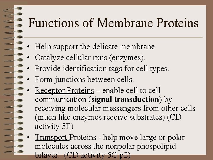 Functions of Membrane Proteins • • • Help support the delicate membrane. Catalyze cellular