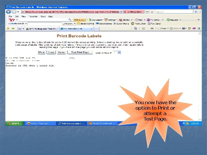 You now have the option to Print or attempt a Test Page. 