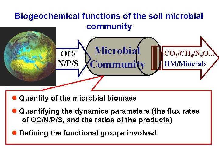 Biogeochemical functions of the soil microbial community OC/ N/P/S Microbial CO 2/CH 4/Nx. O…