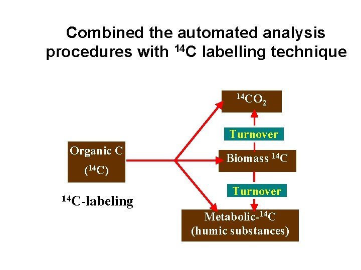 Combined the automated analysis procedures with 14 C labelling technique 14 CO 2 Turnover
