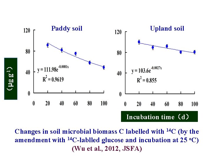 Upland soil （μg g-1） Paddy soil Incubation time（d） Changes in soil microbial biomass C
