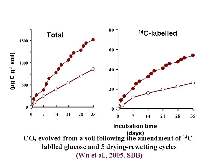 14 C-labelled (μg C g-1 soil) Total Incubation time (days) CO 2 evolved from
