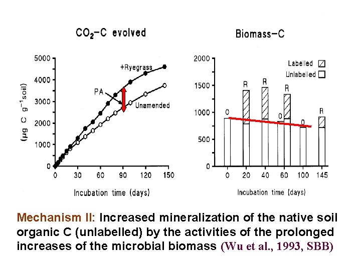 Mechanism II: Increased mineralization of the native soil organic C (unlabelled) by the activities