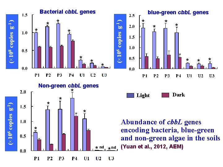 * * blue-green cbb. L genes * * * (× 106 copies g-1 )