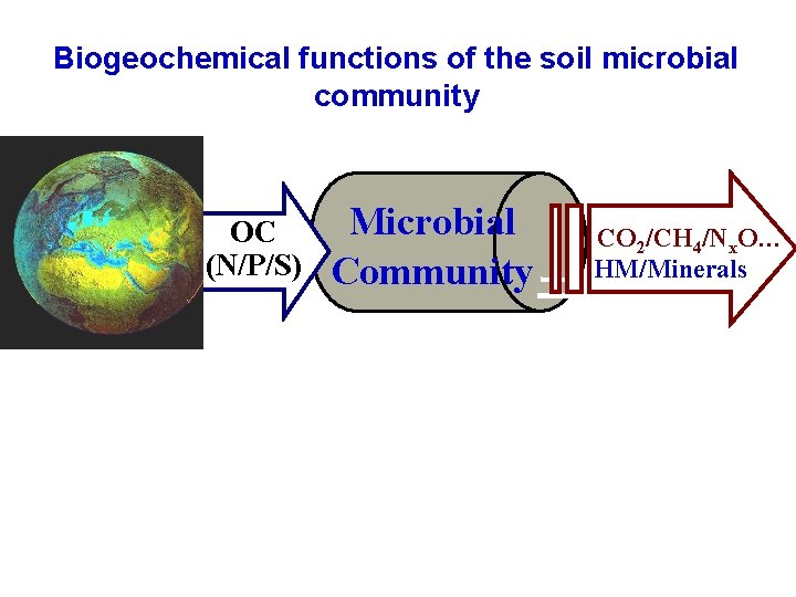 Biogeochemical functions of the soil microbial community OC (N/P/S) Microbial CO 2/CH 4/Nx. O…
