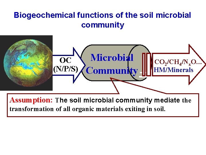 Biogeochemical functions of the soil microbial community OC (N/P/S) Microbial CO 2/CH 4/Nx. O…