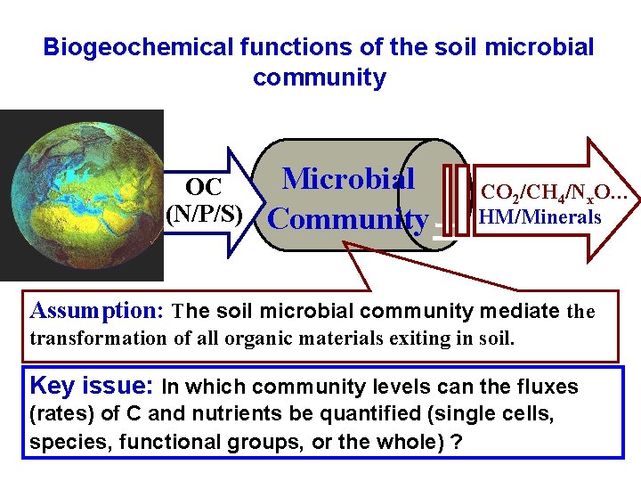 Biogeochemical functions of the soil microbial community OC (N/P/S) Microbial CO 2/CH 4/Nx. O…
