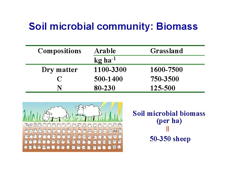 Soil microbial community: Biomass Compositions Dry matter C N Arable kg ha-1 1100 -3300