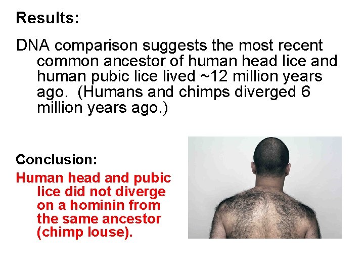 Results: DNA comparison suggests the most recent common ancestor of human head lice and