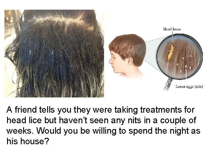 A friend tells you they were taking treatments for head lice but haven’t seen